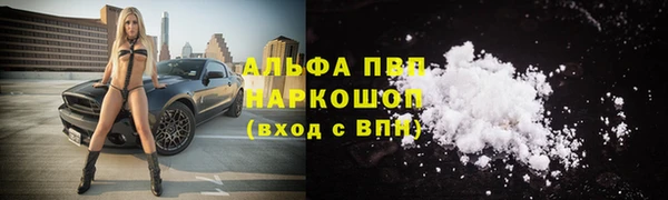 соль ск Новодвинск