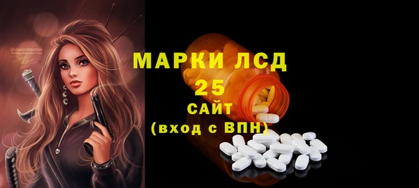 PSILOCYBIN Новозыбков