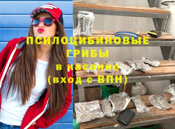 PSILOCYBIN Новозыбков