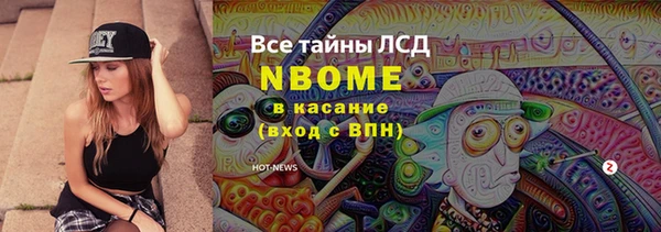 PSILOCYBIN Новозыбков