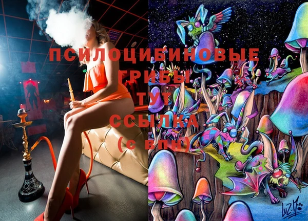 соль ск Новодвинск