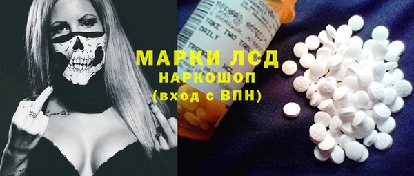 PSILOCYBIN Новозыбков