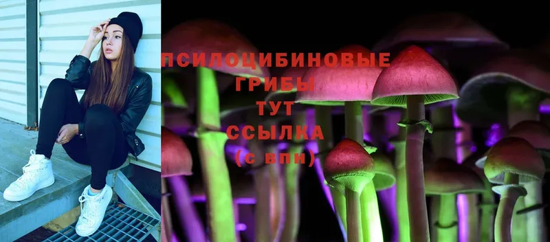 blacksprut   Куйбышев  Галлюциногенные грибы Magic Shrooms 