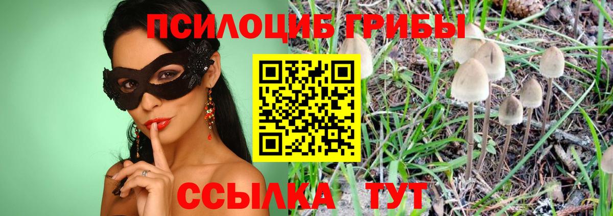 Псилоцибиновые грибы ЛСД  Псилоцибиновые грибы мицелий  Вход с VPN  Куйбышев 