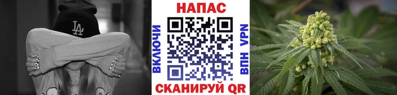 Шишки марихуана конопля  продажа наркотиков  Куйбышев 
